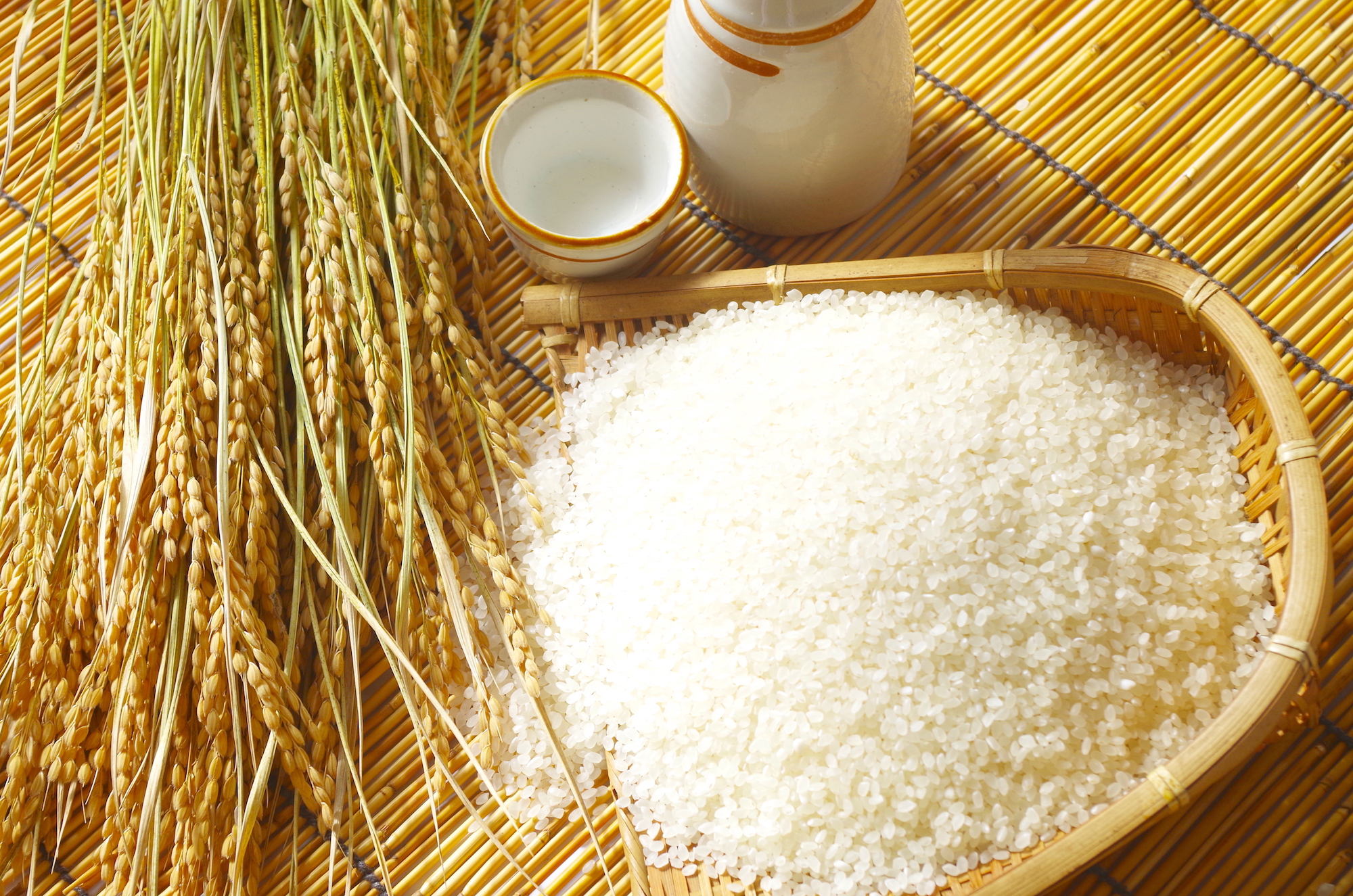 栄六酒造のこと